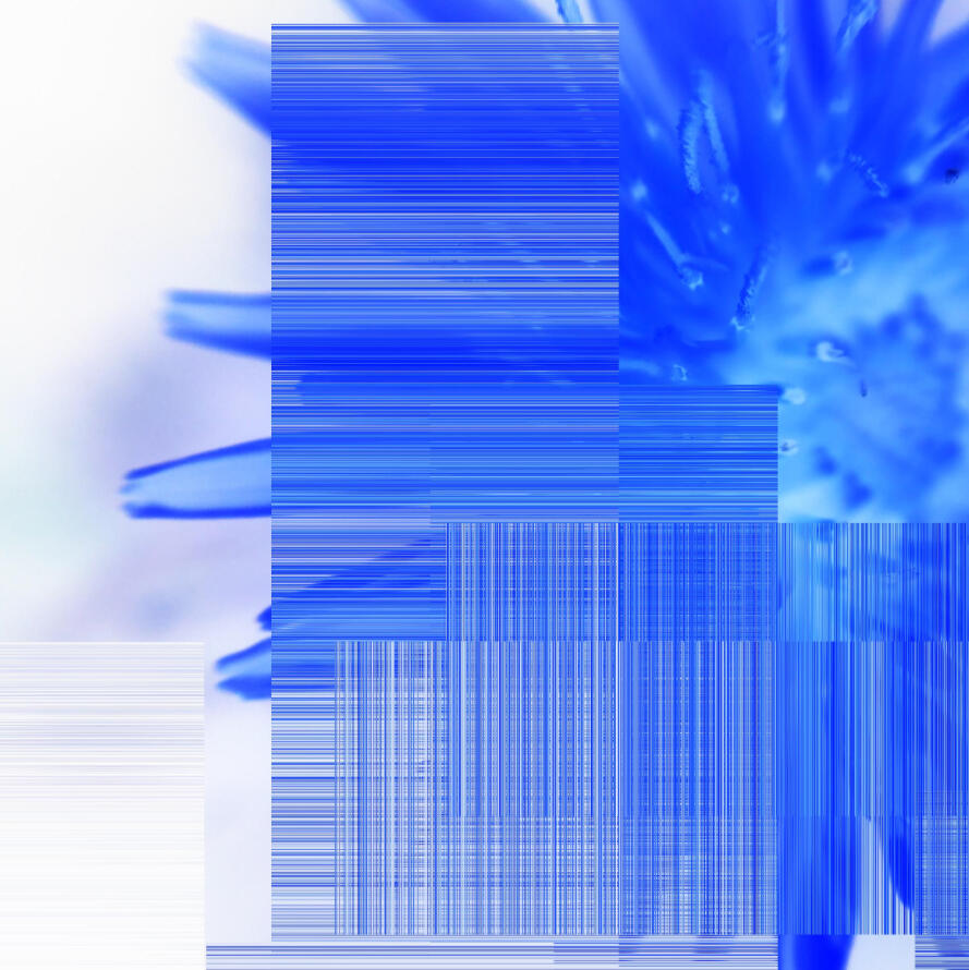 GlitchView | PROJECT